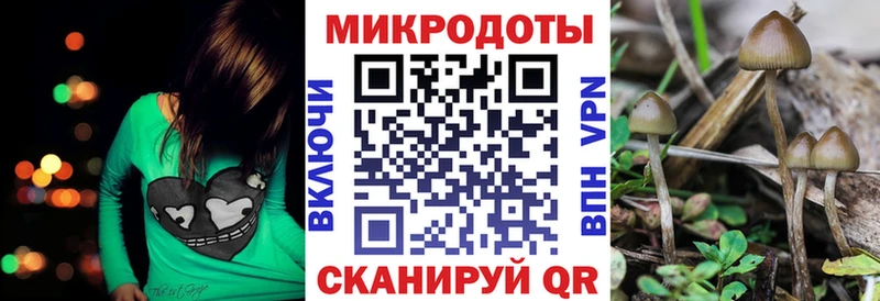 закладки  Котельнич  Галлюциногенные грибы GOLDEN TEACHER 